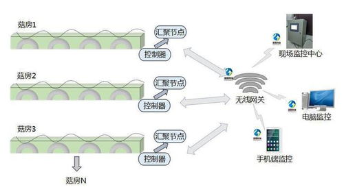 四川智能食用菌菇房管理系统 科技赋能精准脱贫新路径